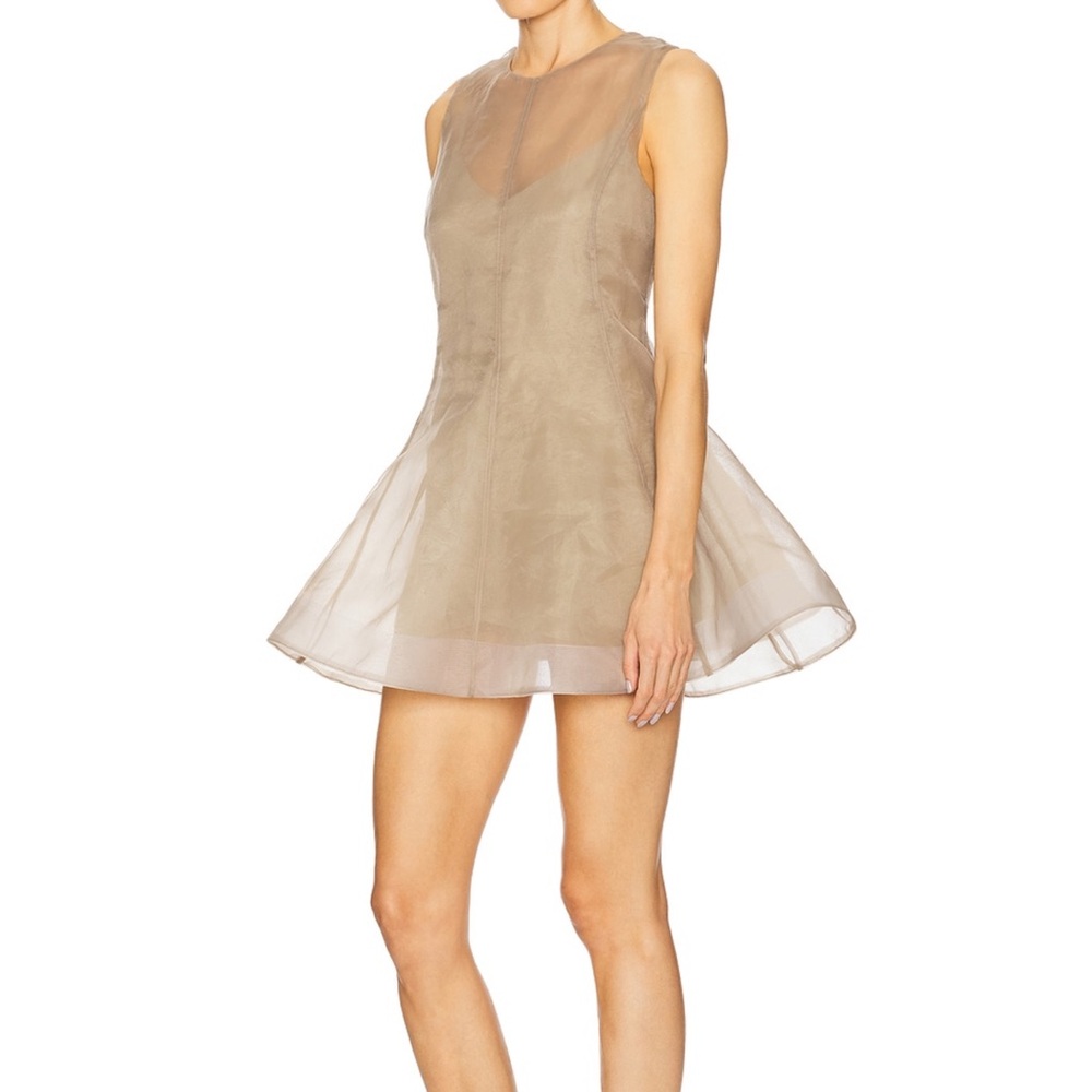 L'Academie Sheer Beige Sleeveless Dress - Picture 8 of 9